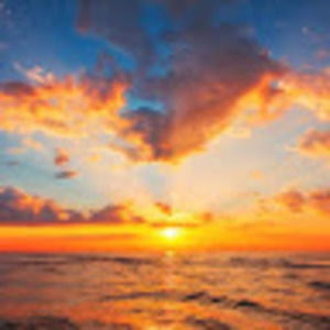 Meet your Posher, Brooks